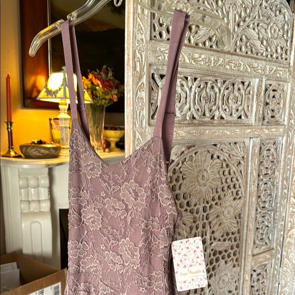 Free People Mauve Lace Mini Dress